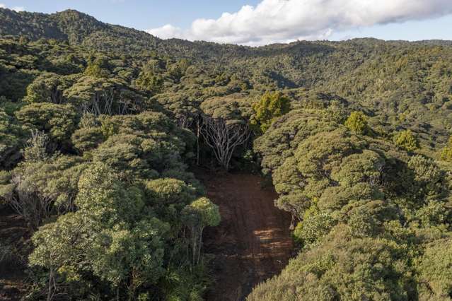 14 La Trobe Track Karekare_3