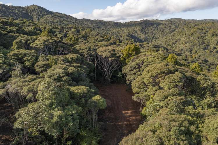 14 La Trobe Track Karekare_3