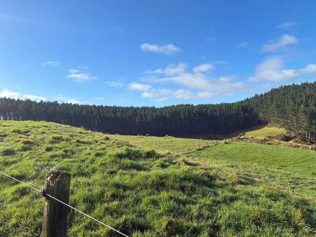 Milne Road Purua_2