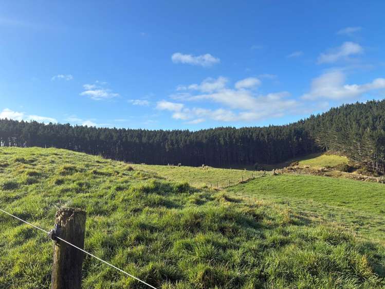 Milne Road Purua_2