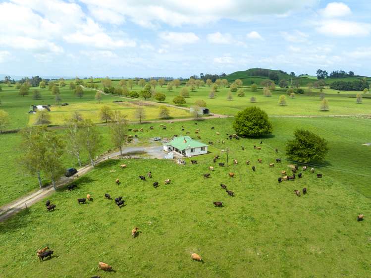 18 Pond Road Matamata_22