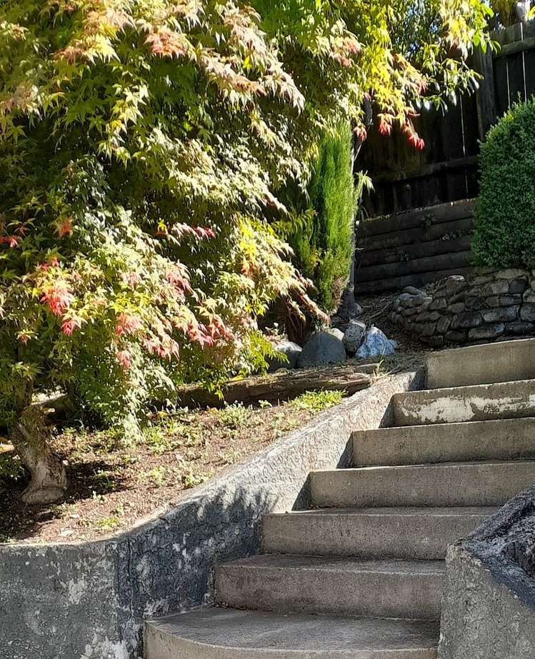 431 Waimea Road Enner Glynn_9