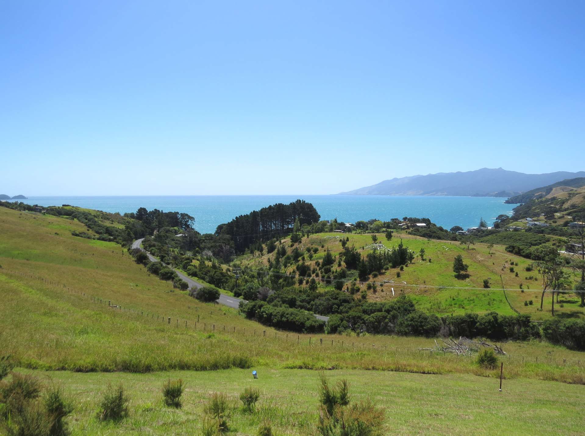 1594 Colville Road Coromandel_0