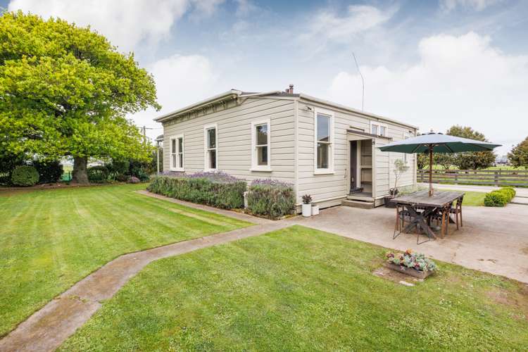 1027 Camerons Line Feilding_24