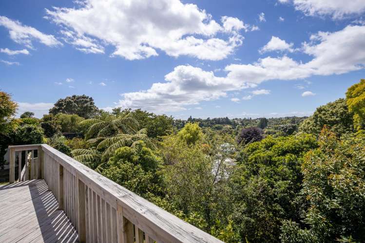 36 Budleigh Street Frankleigh Park_25