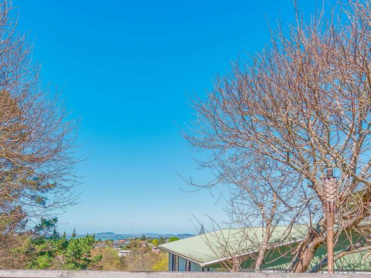 2a/231 Don Buck Road Massey_6