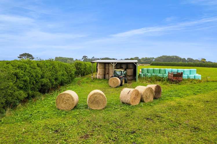 0n Normanby Road Lower Manaia_8