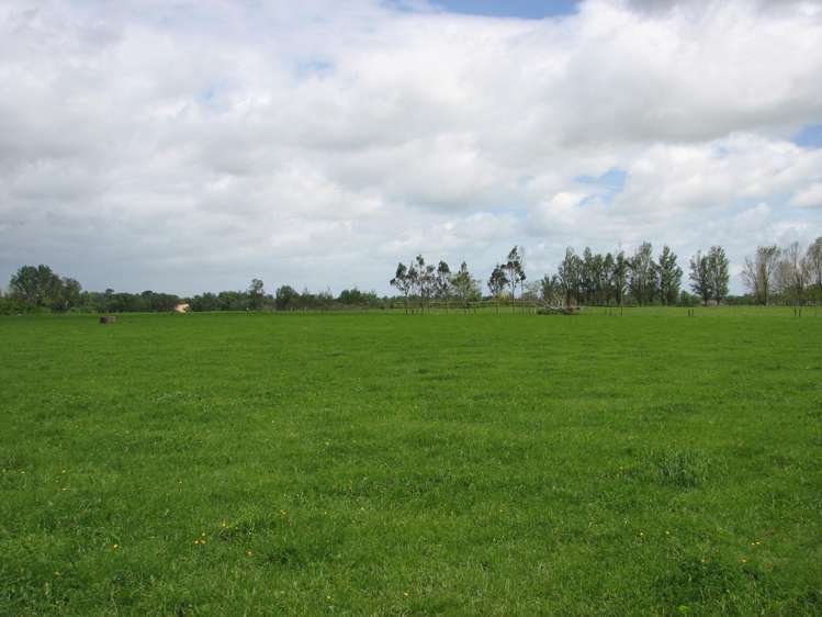 1704 Te Aroha-Gordon Road Te Aroha_4