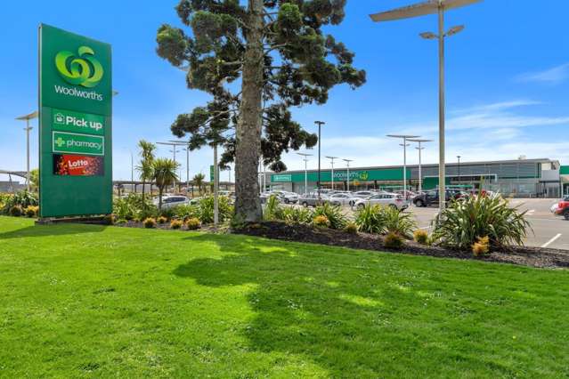 8 Eagle Way Te Rapa_3