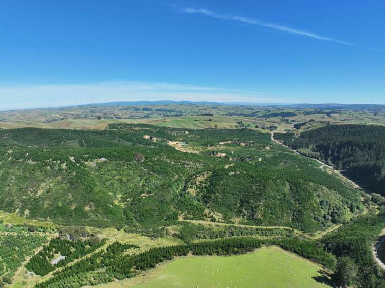 Waitahuna Gully Road Waitahuna Gully_18