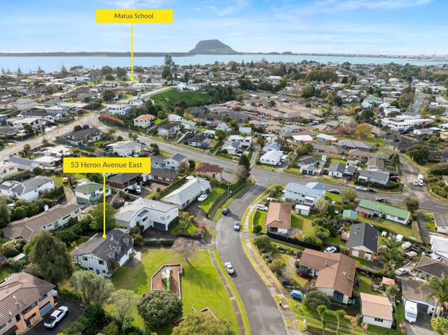 53 Heron Avenue East Matua_2