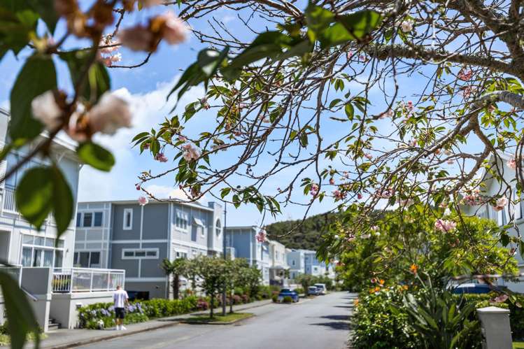5 Eaves Bush Parade Orewa_29