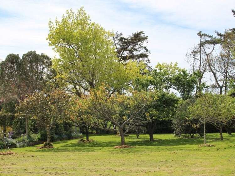 47 Waituna School Road Waimate_18