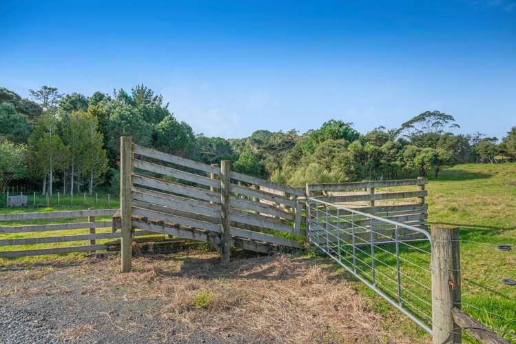 499 Shelly Beach Road South Head_37