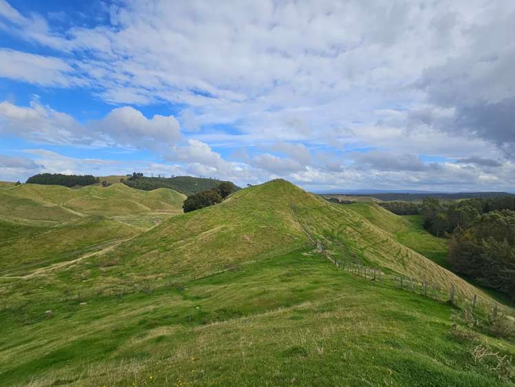 1723 Whangamata Road Marotiri_5