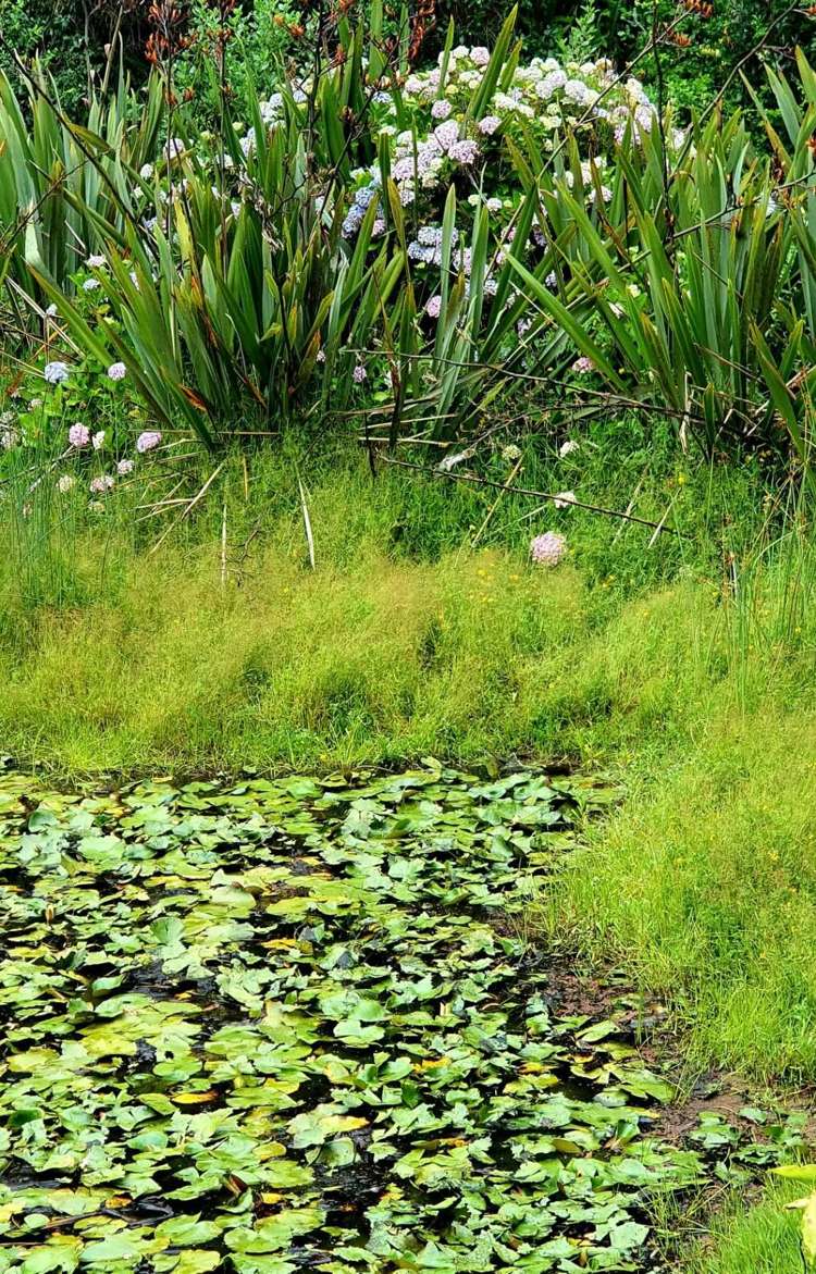 12 Beckham Road Kaitaia_24