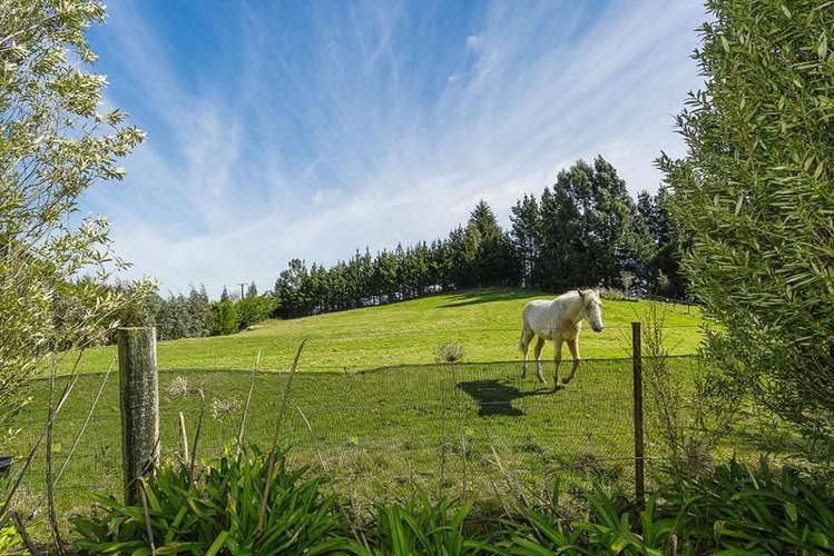 127 Abbotts Hill Road Abbotsford_17