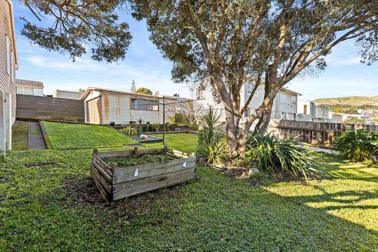 64 Astrolabe Street Cannons Creek_19