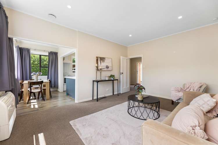 41 Mayfield Avenue Wakari_8