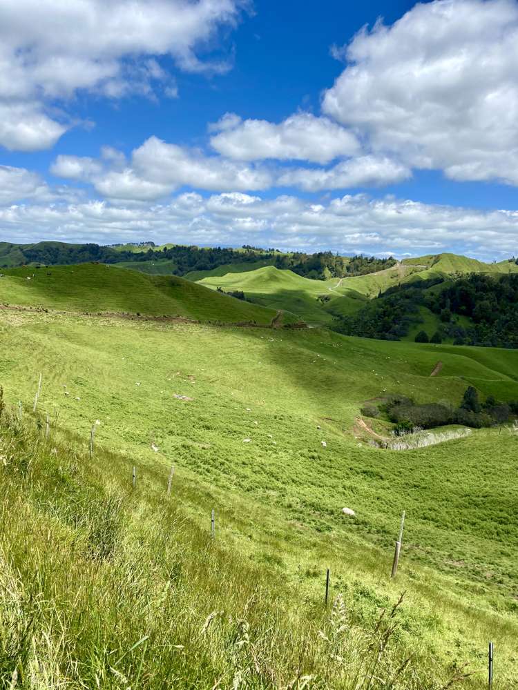 419 Motukawa Road Tarata_21