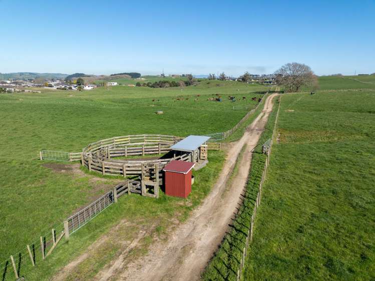 Morrinsville-Tahuna Road Morrinsville_10