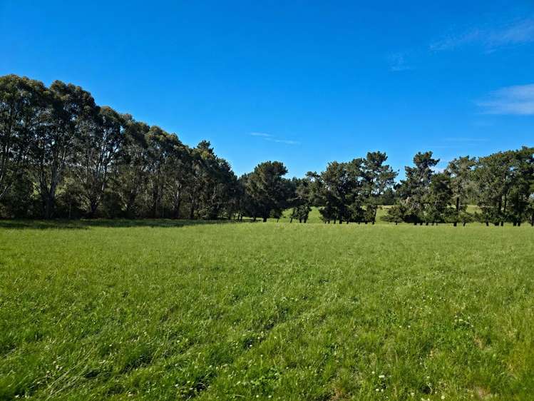301/324 Brookstead Road Ngapara_20