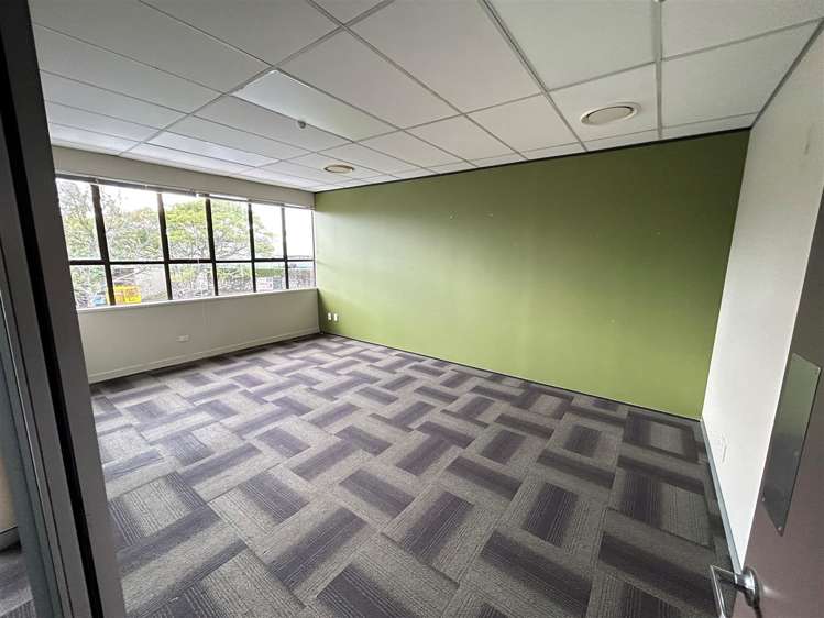 382 Manukau Road Epsom_5