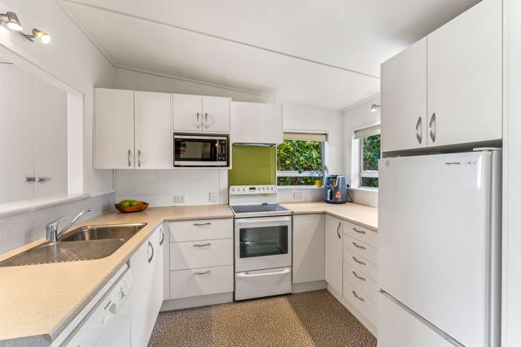 66 Belford Street Waverley_4