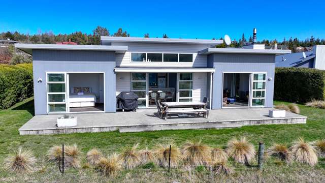 Silver Tussock: Lake Tekapo