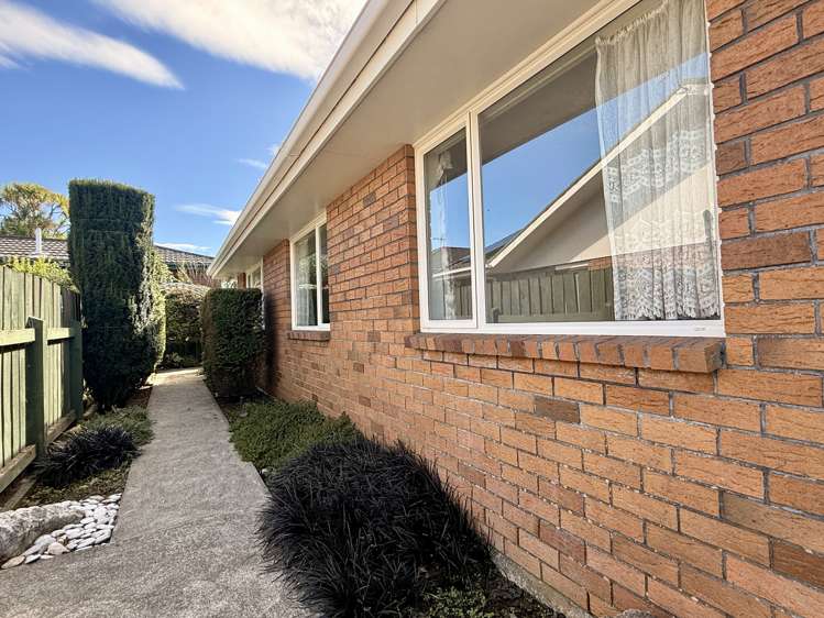 64 Maitland Street Strathern_41