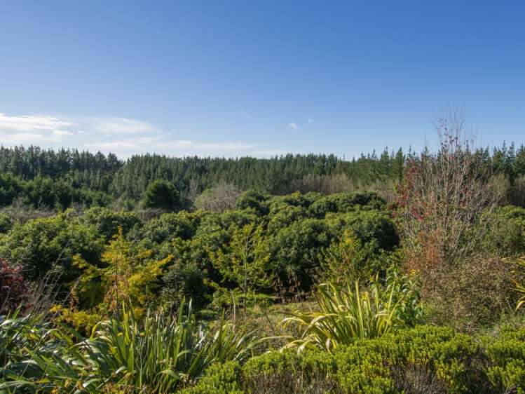 760 Allport Road Paengaroa_22