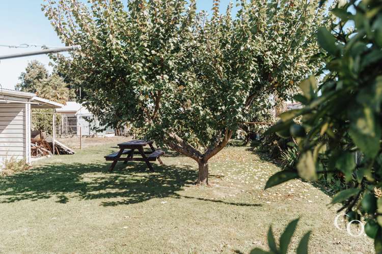 805 Ferguson Street Akina_19