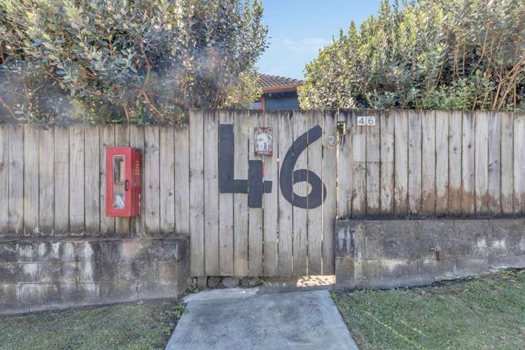 46 Parsons Street Vogeltown_6