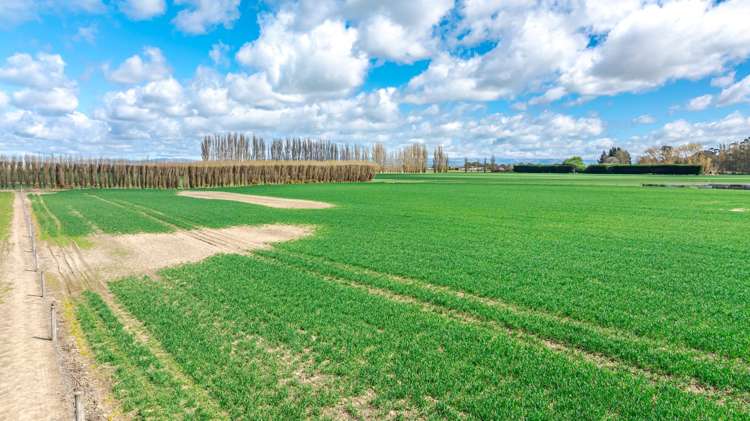 8 Barretts Road Seadown_14