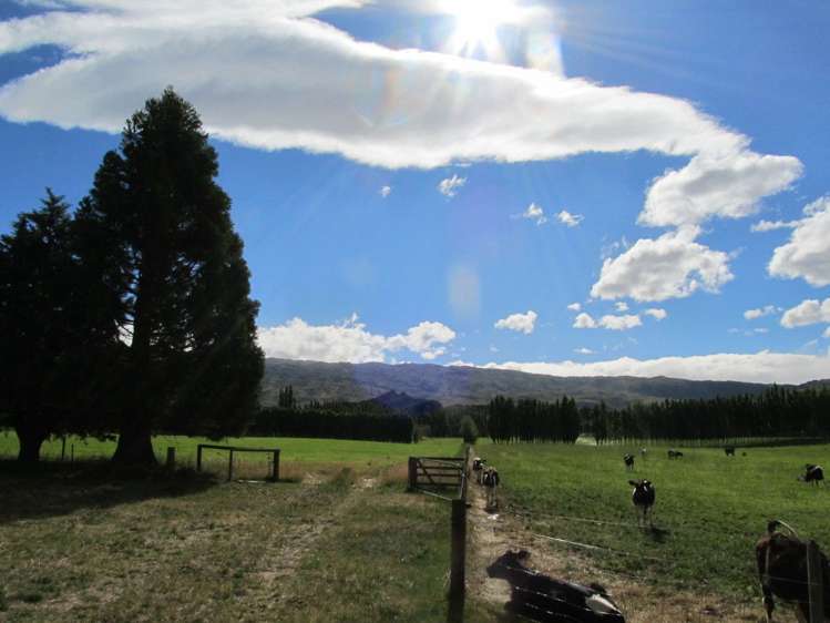 137 Blackman Road Alexandra_19