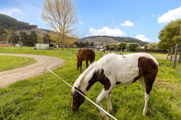 44 Gibsons Road Kaituna_54