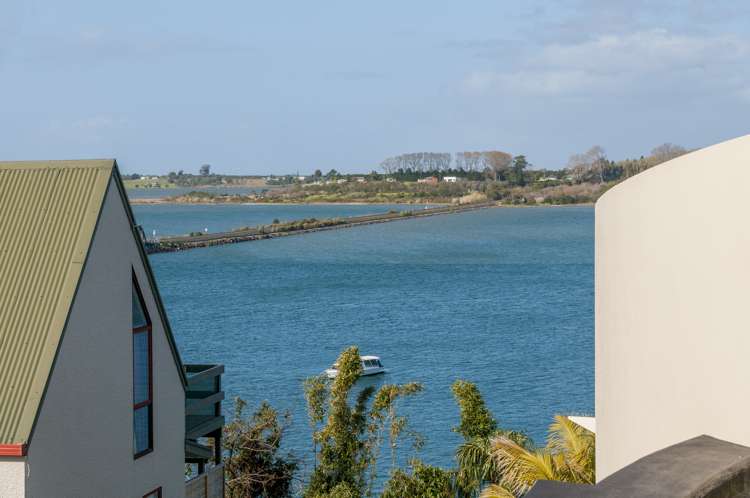 3/14 Dp First Avenue Tauranga Central_19