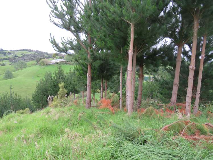 289 Franklin Road Paparoa_7