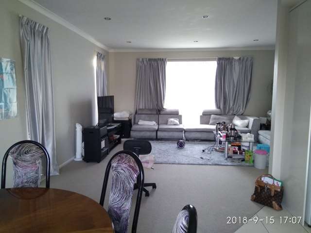 16 Plantation Avenue Flat Bush_3