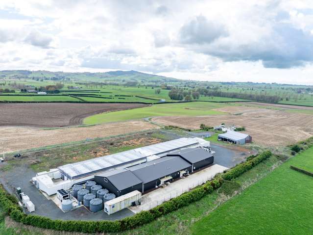 109A/B Reay & Watson Road Tauhei_2