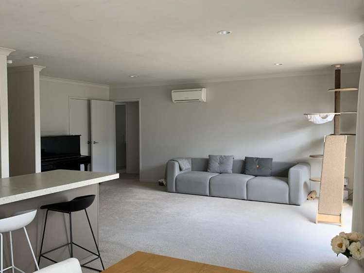 2 Mccallum Street Springlands_3