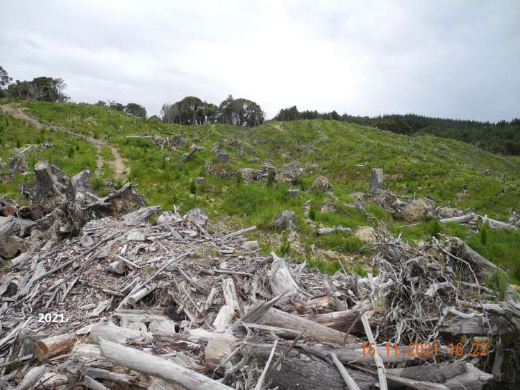 Marsden Road Marsden_15