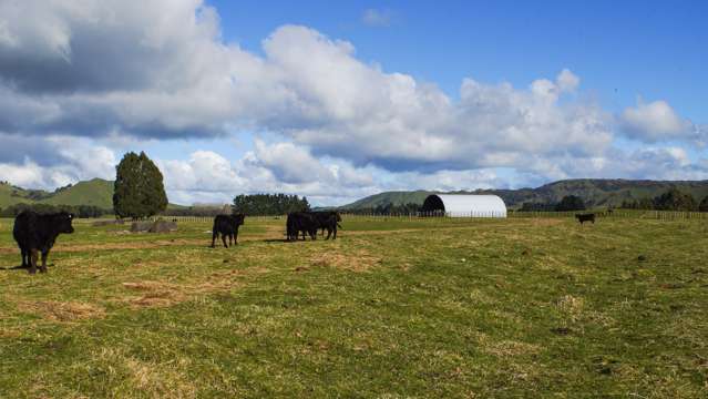 Raetihi Ohakune Road Raetihi_4