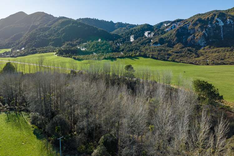 1038 Te Kopia Road Waikite Valley_11