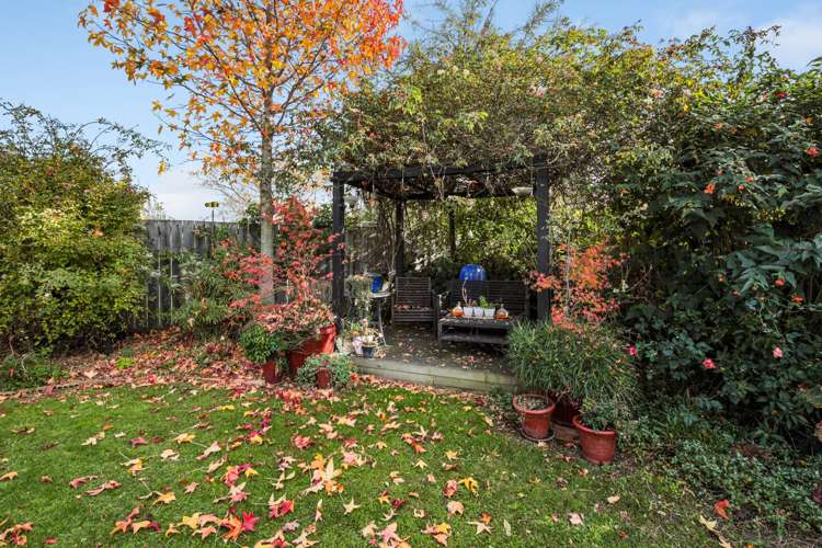 15 Puketea Place Redwoodtown_7