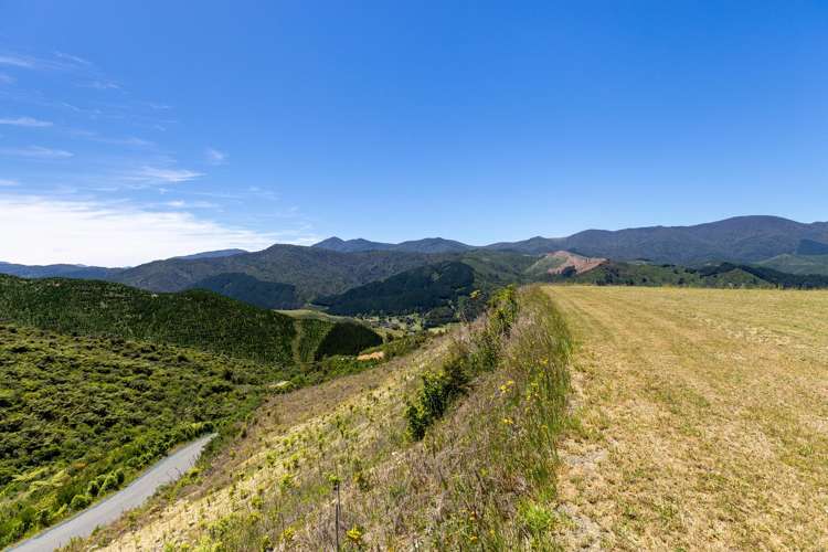 Cable Bay Road Hira_25