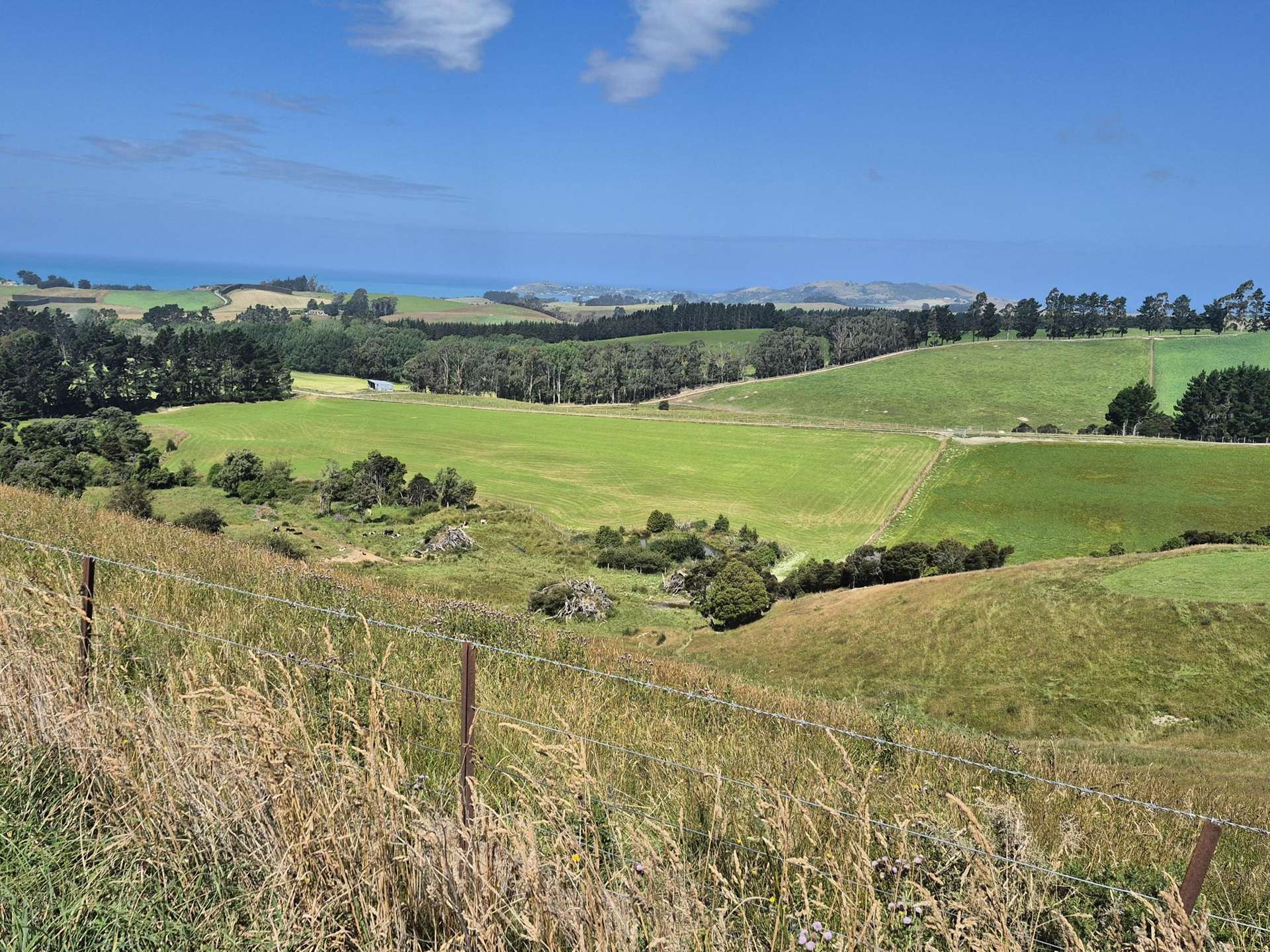 121 Joyce Road Hampden_0