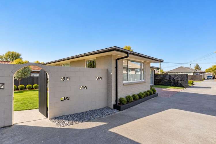 73 Wingate Street Redwood_15