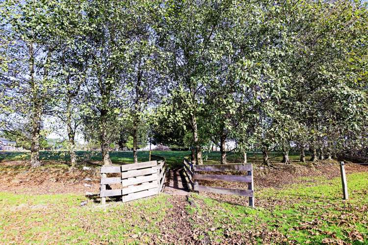 8 Winter Road Wyndham Surrounds_21