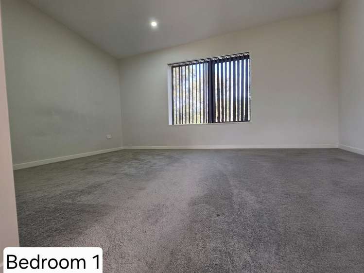 3 David Rogers Lane Swanson_4